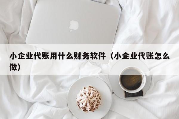 小企业代账用什么财务软件（小企业代账怎么做）