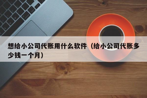 想给小公司代账用什么软件（给小公司代账多少钱一个月）