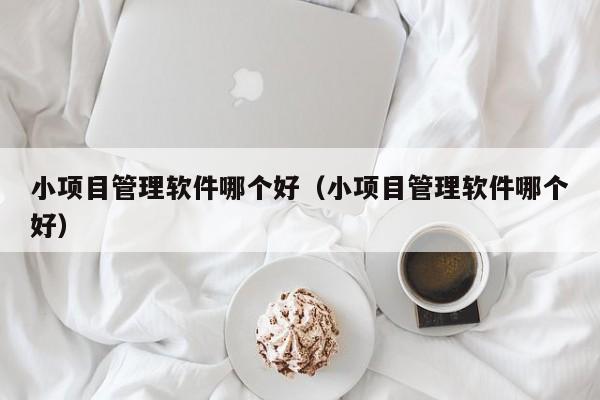 小项目管理软件哪个好（小项目管理软件哪个好）