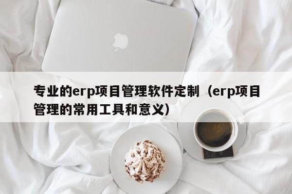 专业的erp项目管理软件定制（erp项目管理的常用工具和意义）