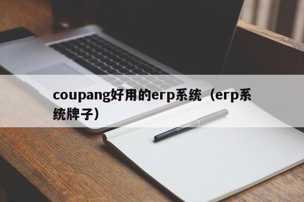 coupang好用的erp系统（erp系统牌子）