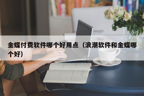 金蝶付费软件哪个好用点（浪潮软件和金蝶哪个好）