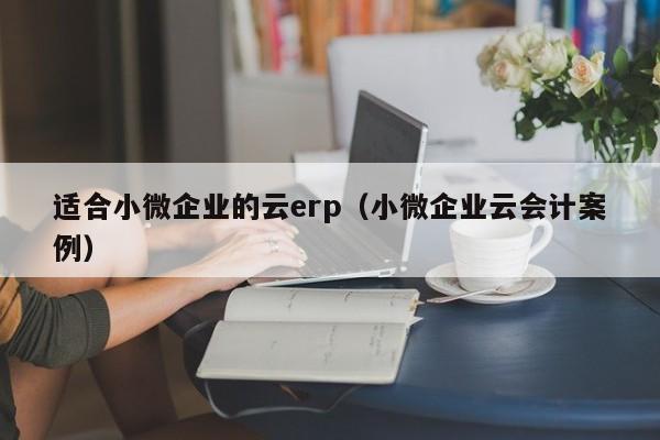 适合小微企业的云erp（小微企业云会计案例）