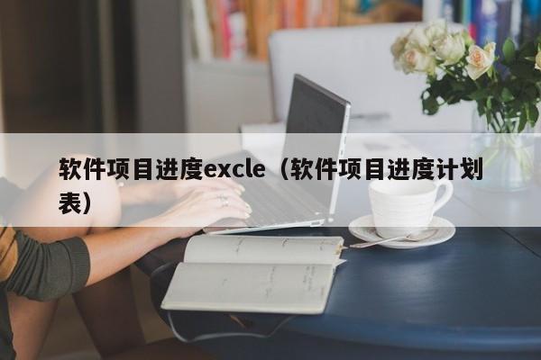 软件项目进度excle（软件项目进度计划表）