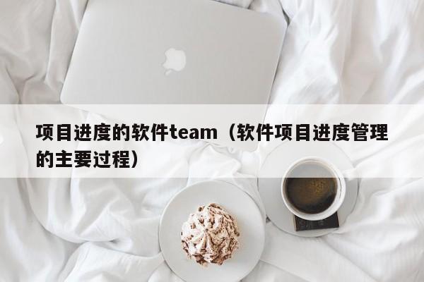 项目进度的软件team（软件项目进度管理的主要过程）