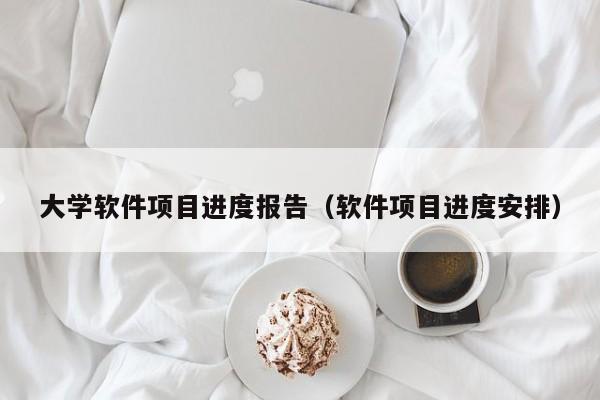 大学软件项目进度报告（软件项目进度安排）