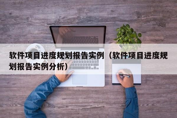 软件项目进度规划报告实例（软件项目进度规划报告实例分析）