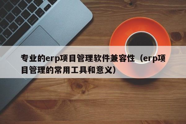 专业的erp项目管理软件兼容性（erp项目管理的常用工具和意义）