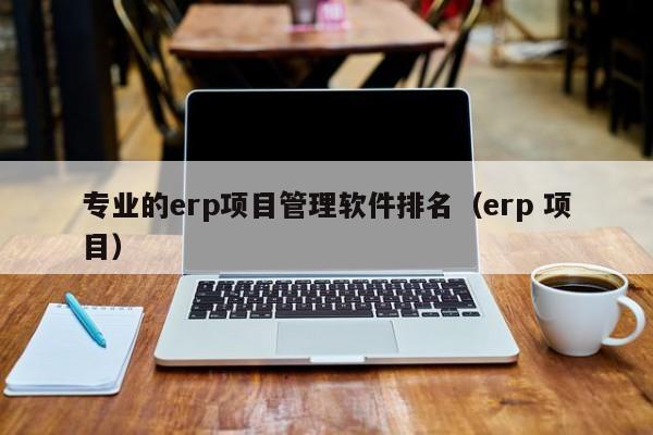 专业的erp项目管理软件排名（erp 项目）