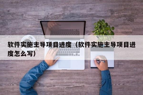 软件实施主导项目进度（软件实施主导项目进度怎么写）