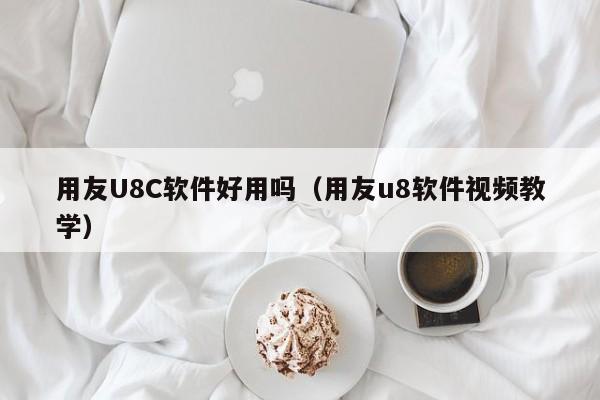 用友U8C软件好用吗（用友u8软件视频教学）