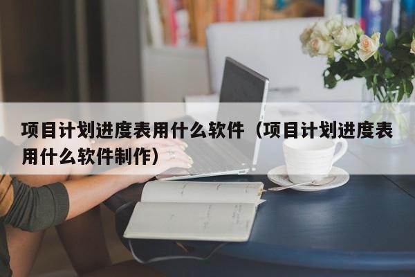 项目计划进度表用什么软件（项目计划进度表用什么软件制作）