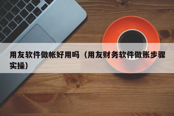 用友软件做帐好用吗（用友财务软件做账步骤实操）