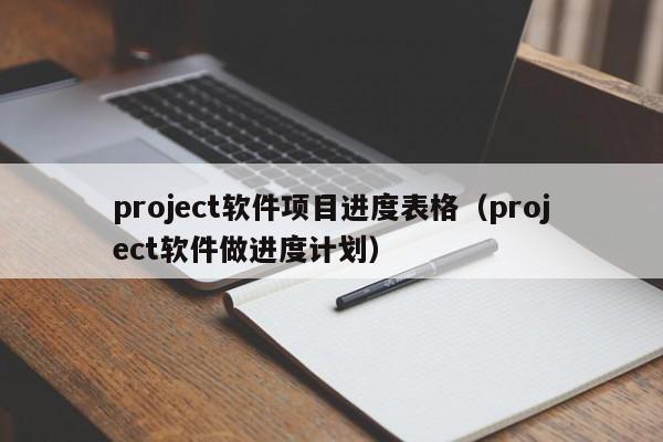 project软件项目进度表格（project软件做进度计划）