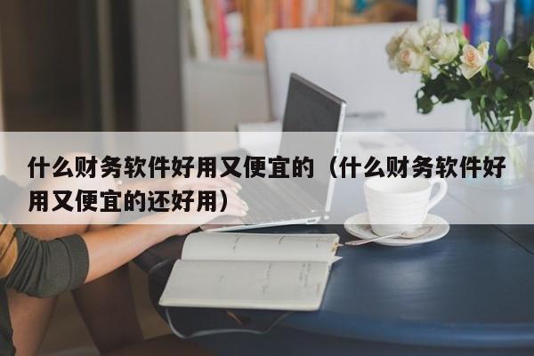 什么财务软件好用又便宜的（什么财务软件好用又便宜的还好用）