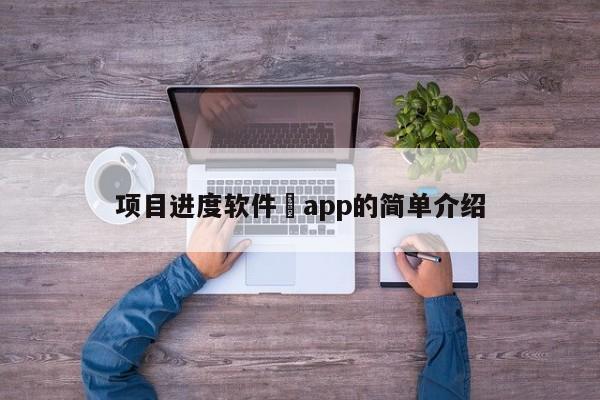 项目进度软件 app的简单介绍