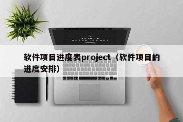 软件项目进度表project（软件项目的进度安排）