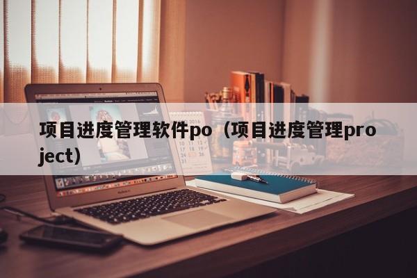 项目进度管理软件po（项目进度管理project）