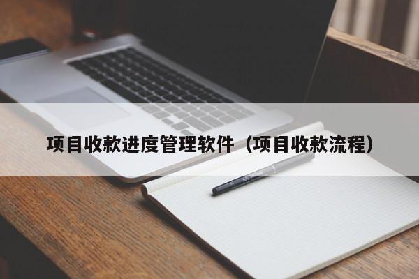 项目收款进度管理软件（项目收款流程）