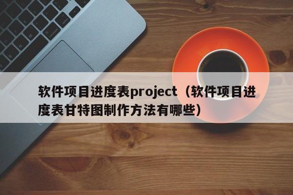 软件项目进度表project（软件项目进度表甘特图制作方法有哪些）