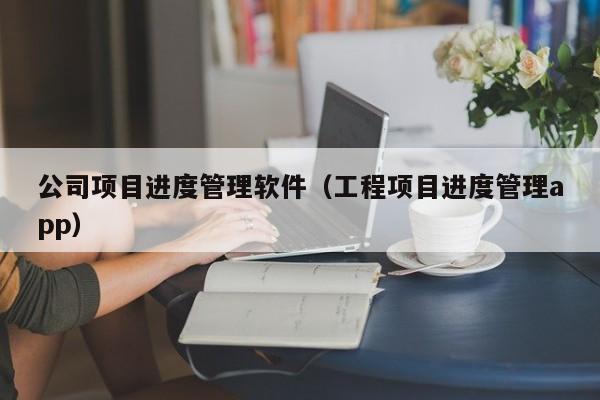 公司项目进度管理软件（工程项目进度管理app）