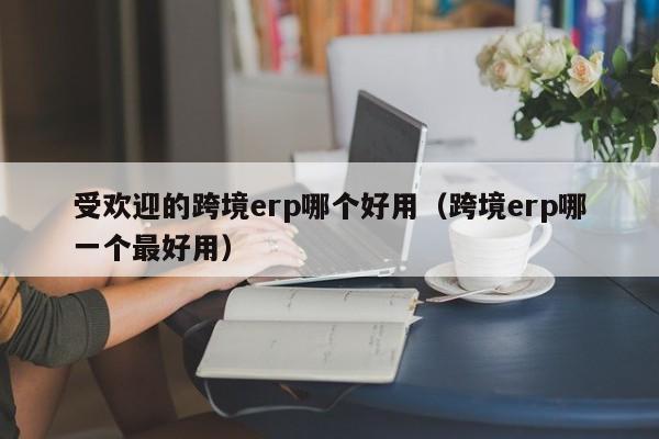 受欢迎的跨境erp哪个好用（跨境erp哪一个最好用）