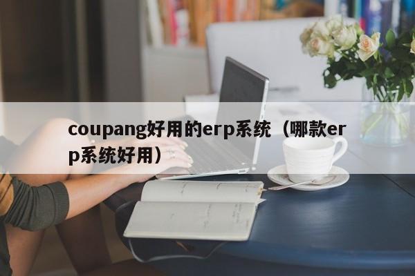 coupang好用的erp系统（哪款erp系统好用）