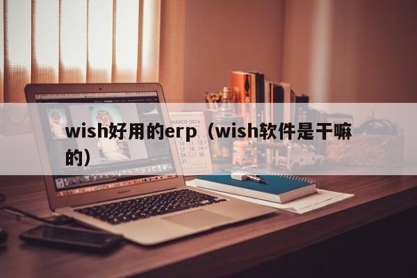 wish好用的erp（wish软件是干嘛的）