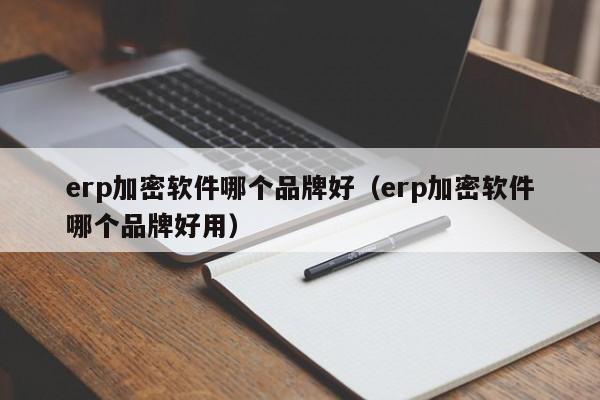 erp加密软件哪个品牌好（erp加密软件哪个品牌好用）