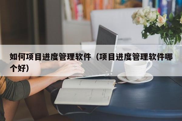 如何项目进度管理软件（项目进度管理软件哪个好）