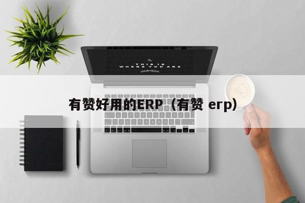 有赞好用的ERP（有赞 erp）