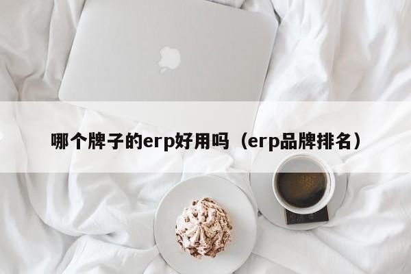 哪个牌子的erp好用吗（erp品牌排名）