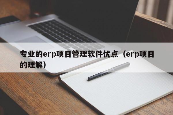 专业的erp项目管理软件优点（erp项目的理解）