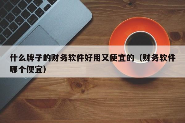 什么牌子的财务软件好用又便宜的（财务软件哪个便宜）