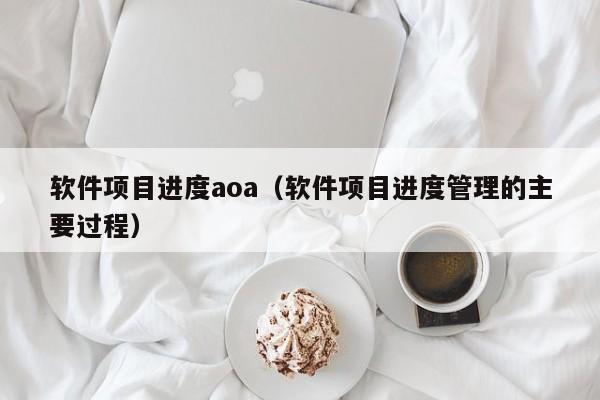 软件项目进度aoa（软件项目进度管理的主要过程）